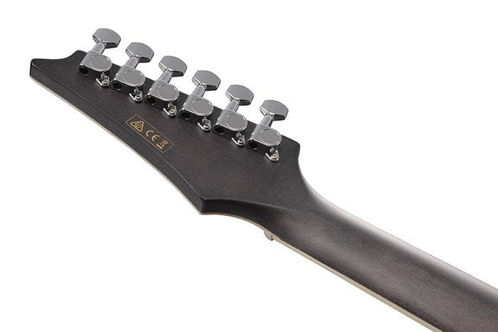 Guitarra Electroacustica Ibanez ALT30FM-BDB 2