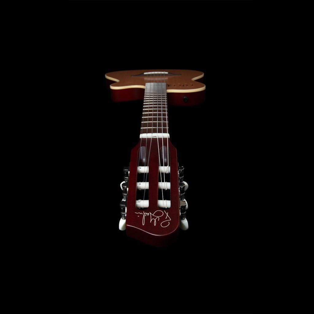 Guitarra Electroacustica Godin Multiac Nylon Encore Sg 7