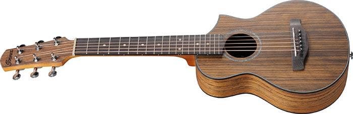 Guitarra Acustica Ibanez Ewp14wb-opn 2