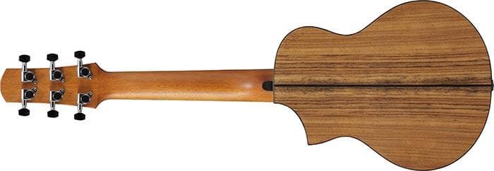 Guitarra Acustica Ibanez Ewp14wb-opn 3