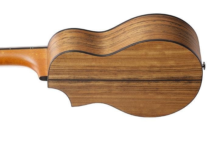 Guitarra Acustica Ibanez Ewp14wb-opn 4