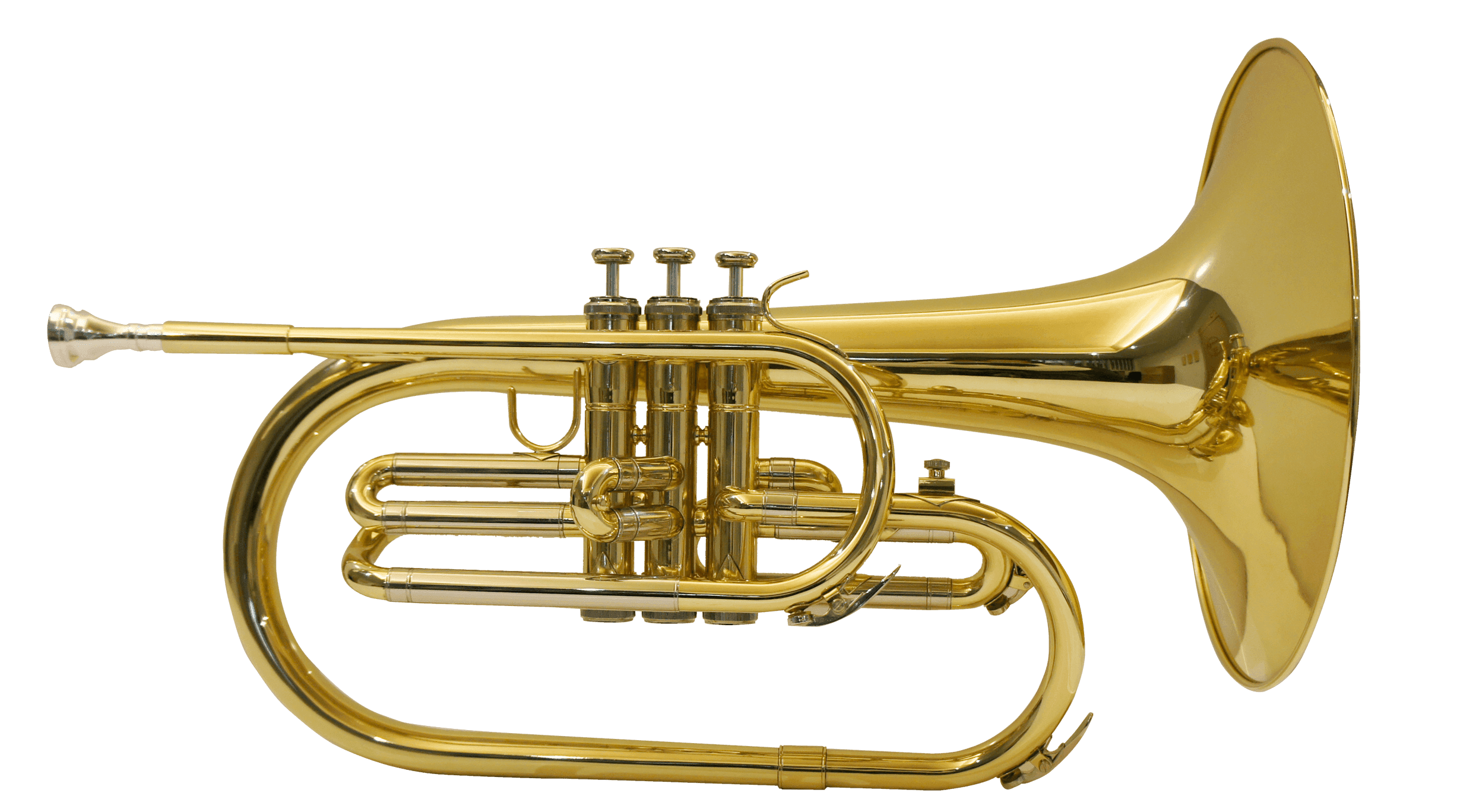 Corno Frances Jinbao Jbmf-060l