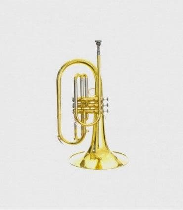 Corno Frances Jinbao Jbmf-060l 2