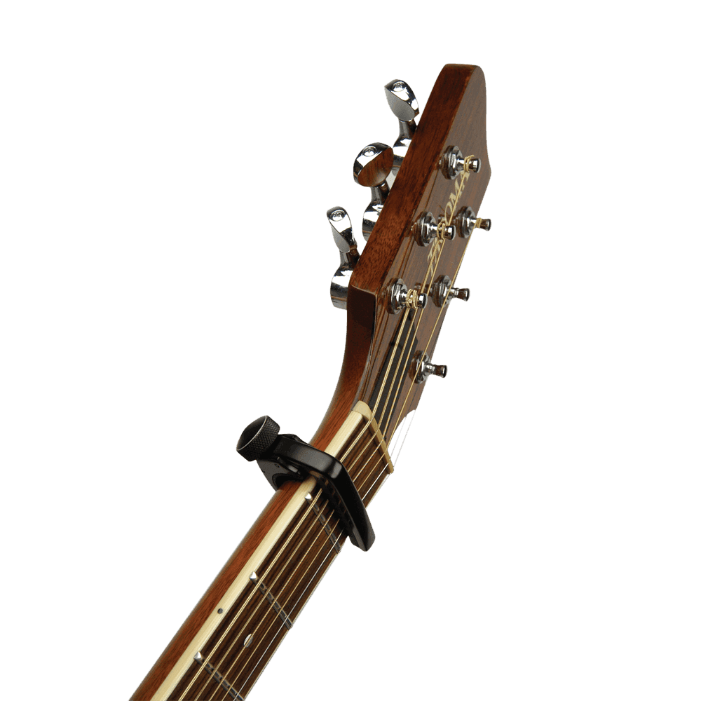 Transportador D Addario Pw-cp-07 3