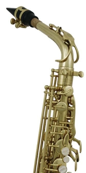 SAXOFON ALTO ROY BENSON AS-202 RB700601 6