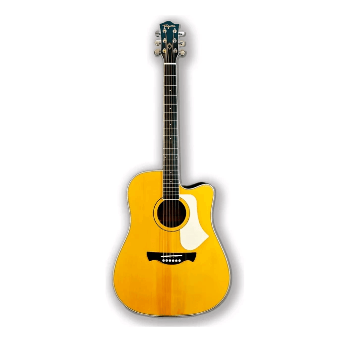 GUITARRA ELECTROACÚSTICA TAGIMA ANDES EQ CAS DF
