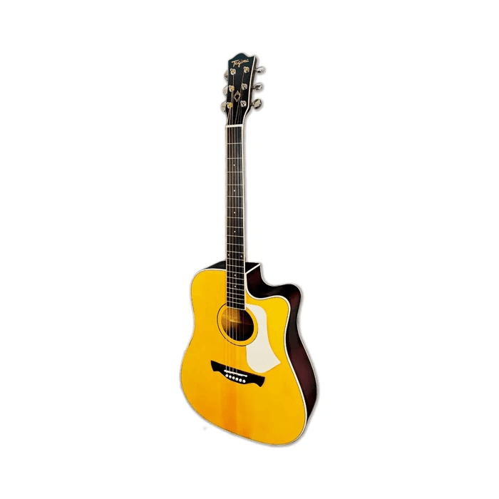 GUITARRA ELECTROACÚSTICA TAGIMA ANDES EQ CAS DF 2