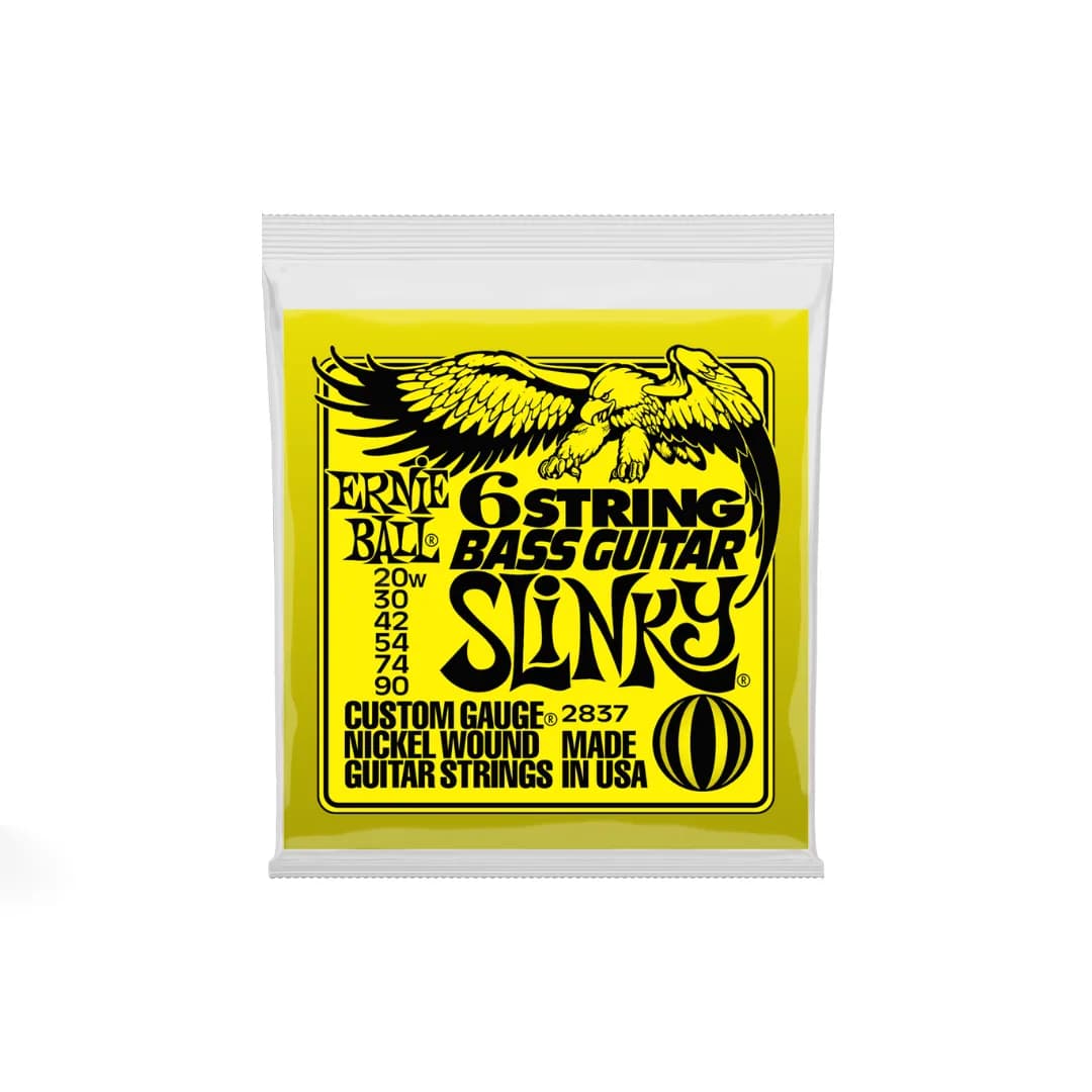 ENCORDADO ERNIE BALL 2837