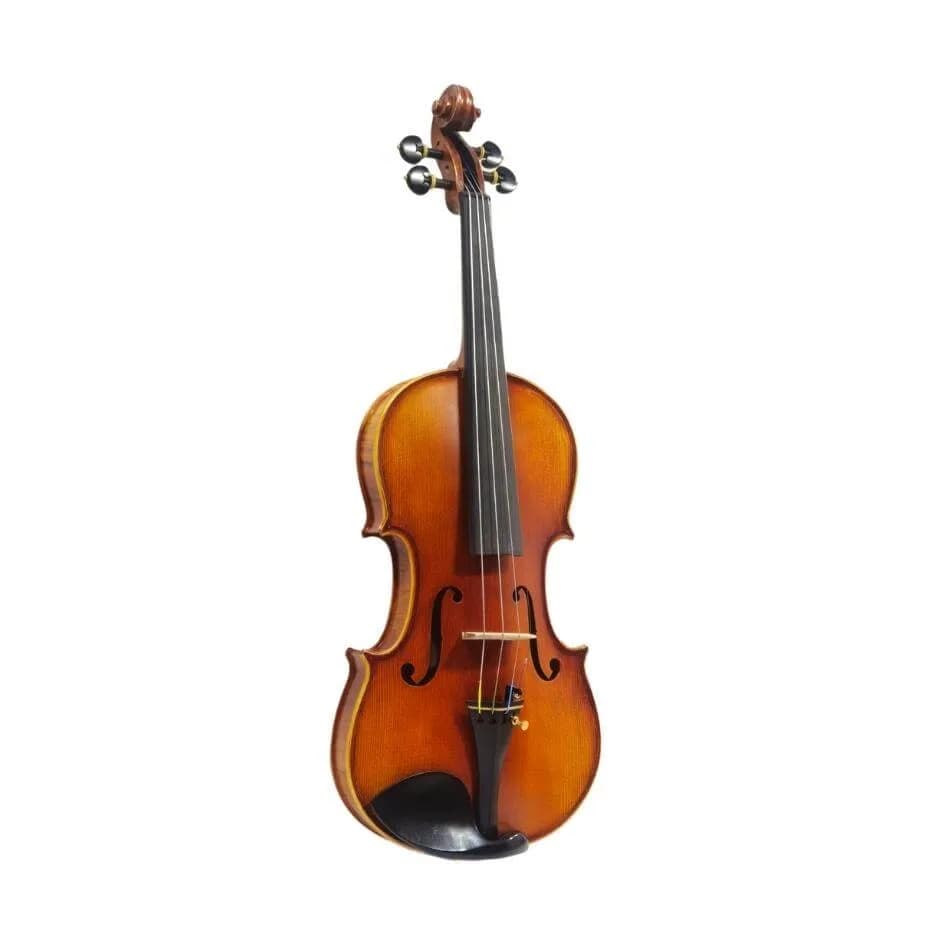 VIOLIN GREKO VFS101 4/4