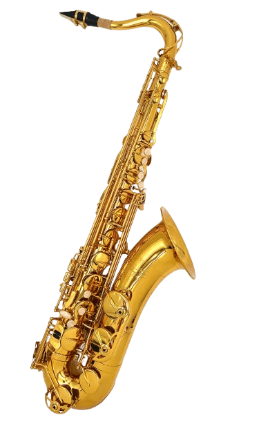 Saxofon Tenor Victory G2-ttgl Triumph Series
