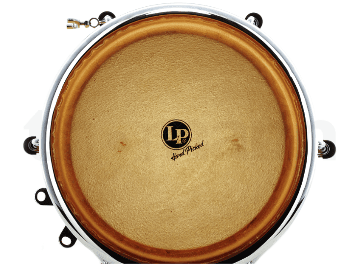 Conga Lp 559x Classic 11 3/4 5