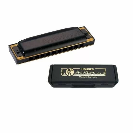ARMONICA HOHNER PRO HARP 20 DO M564016X