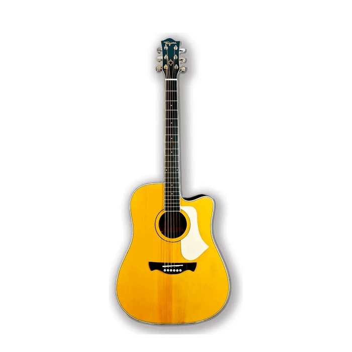 GUITARRA ELECTROACÚSTICA TAGIMA ANDES EQ NTABS DF