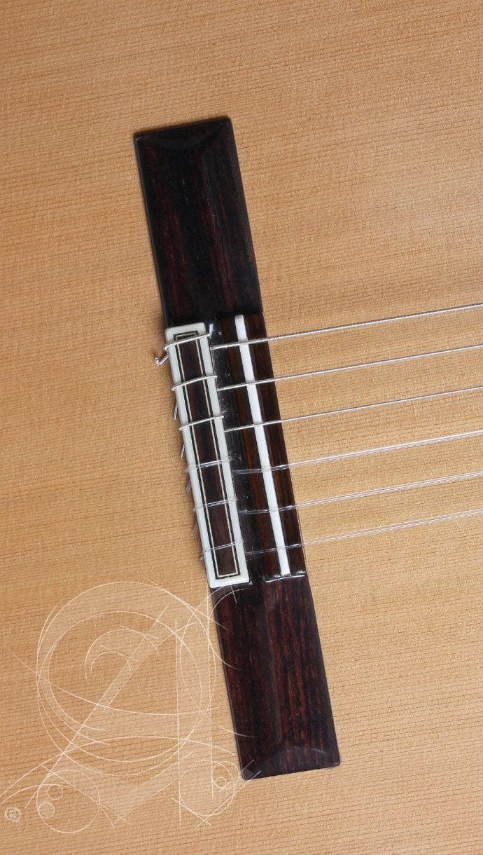 Guitarra Acustica Alhambra 10 Premier 4