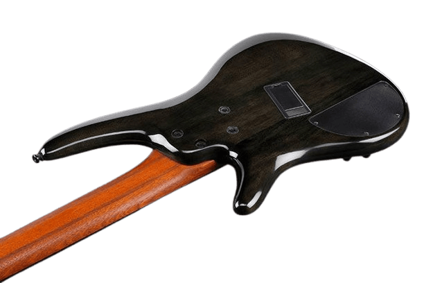 Bajo Electrico Ibanez 5 Cuerdas Srms805-Tropical Seafloor 3