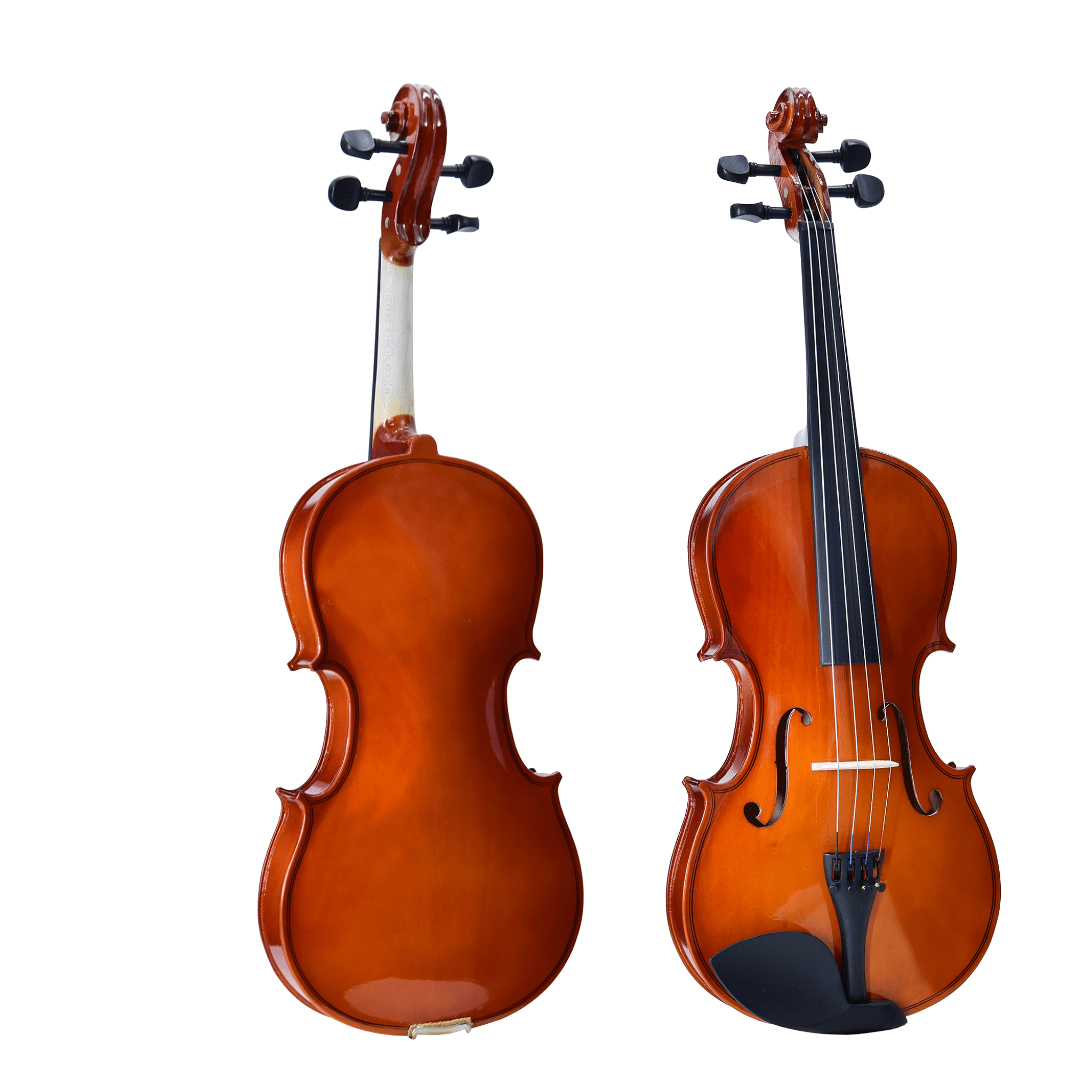 VIOLA ISABELLA 15" P101H 2