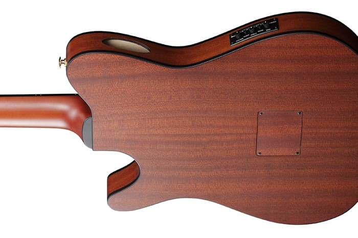 Guitarra Electroacústica Ibanez FRH10N-BSF 2