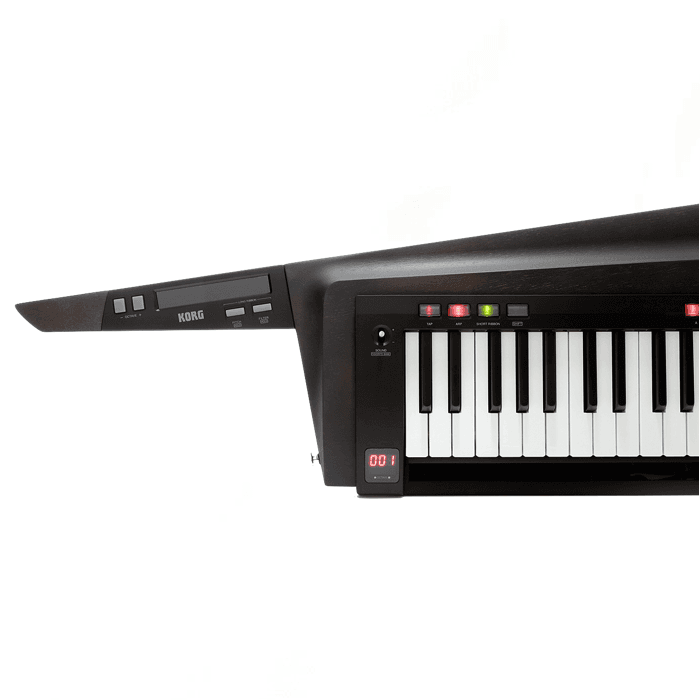 SINTETIZADOR KORG RK-100S 2BK 2