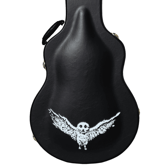Guitarra Electrica Epiphone Eies335jjsvwnh3 Jim James Es-335 8