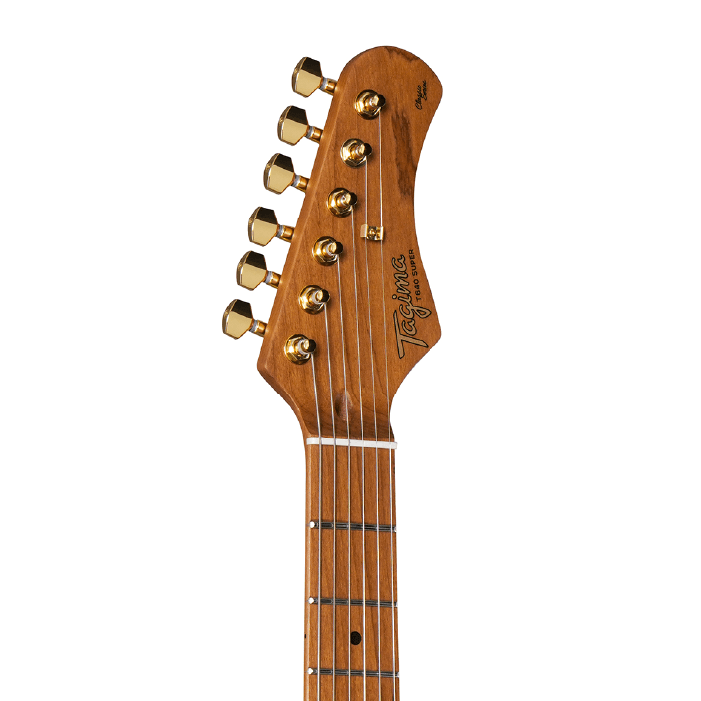 GUITARRA ELECTRICA TAGIMA T-640 SUPER BK LF BK 5