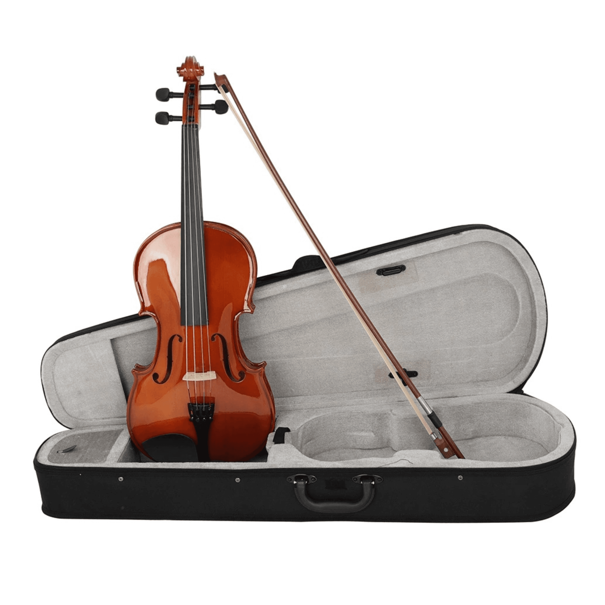 VIOLA ISABELLA 14" P101H