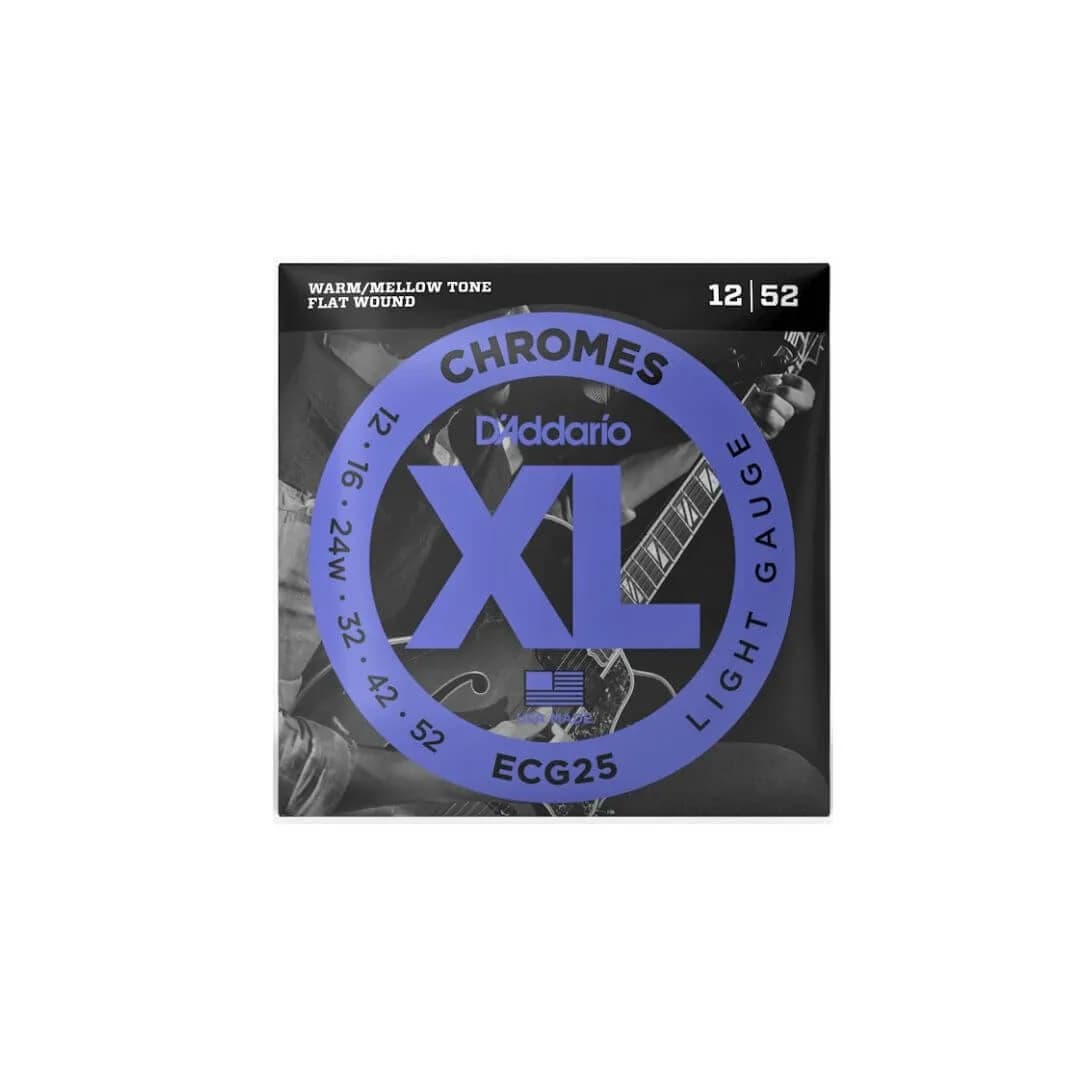 ENCORDADO D ADDARIO ECG25
