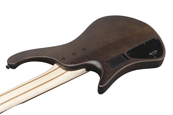 Bajo Electrico Ibanez Ehb605-Wnf 3