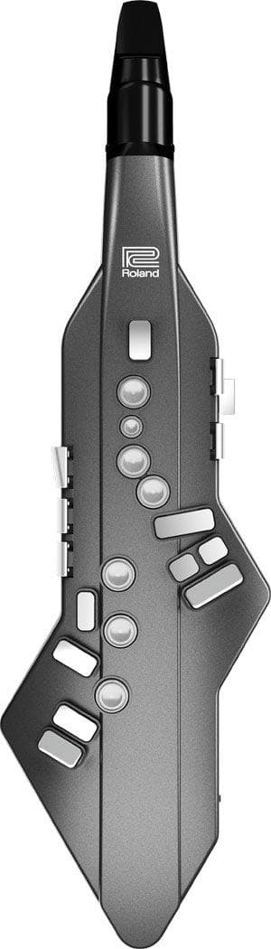 Aerofono Digital Roland AE-05 7