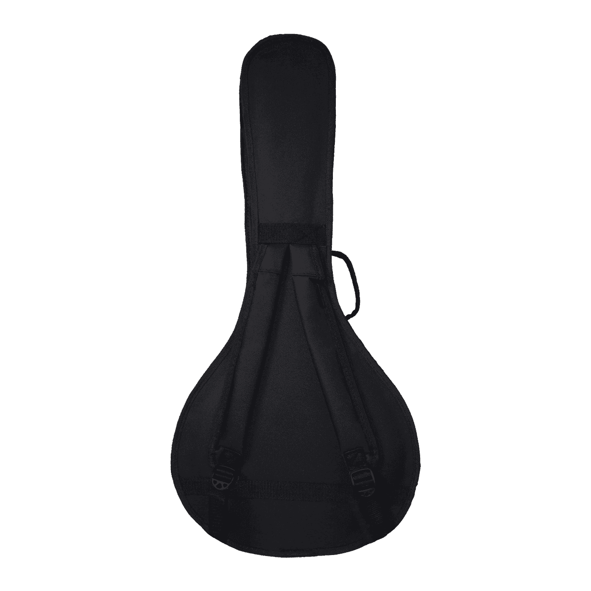 Estuche Semiduro Bandola 2