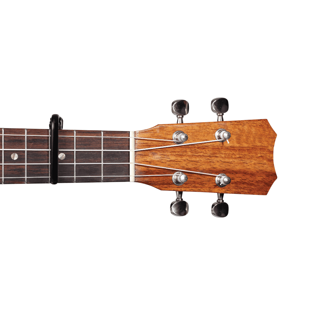 Transportador D Addario Pw-cp-12 Ukulele 3