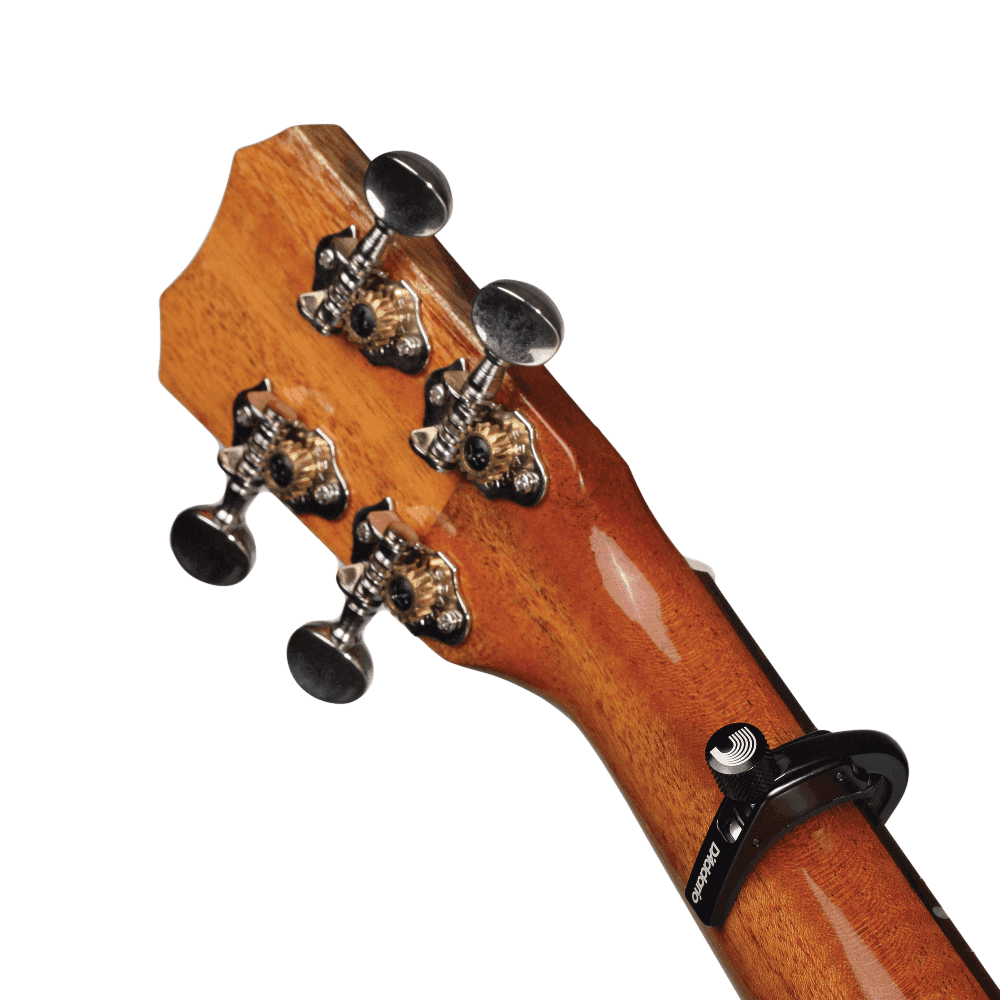 Transportador D Addario Pw-cp-12 Ukulele 4