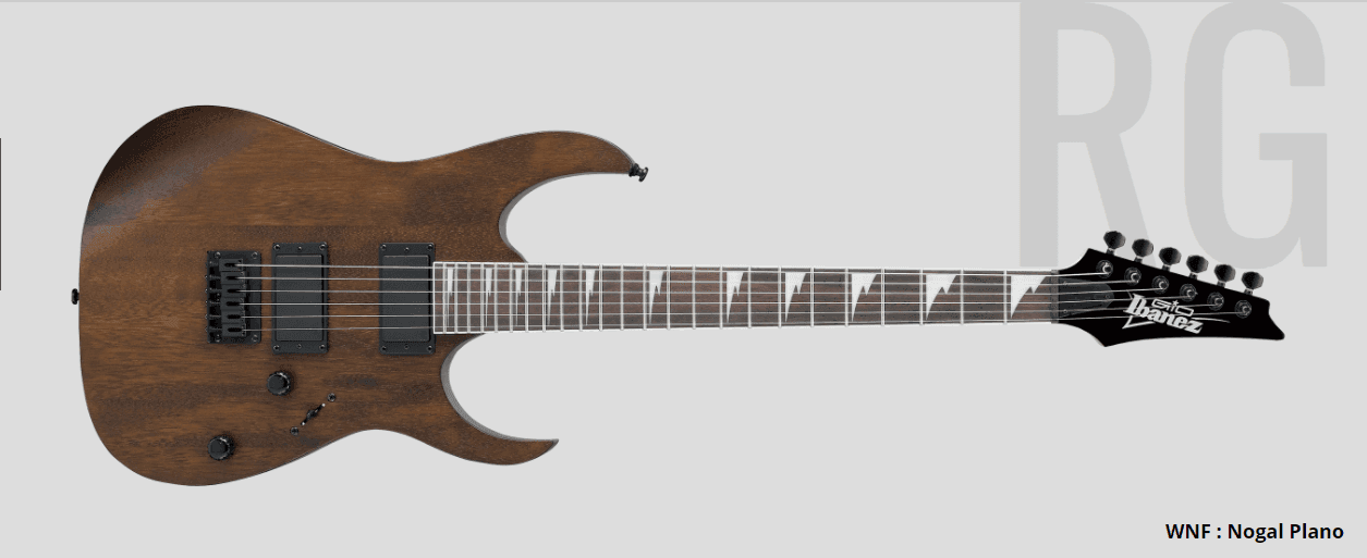 Guitarra Electrica Ibanez GRG121DX-WNF