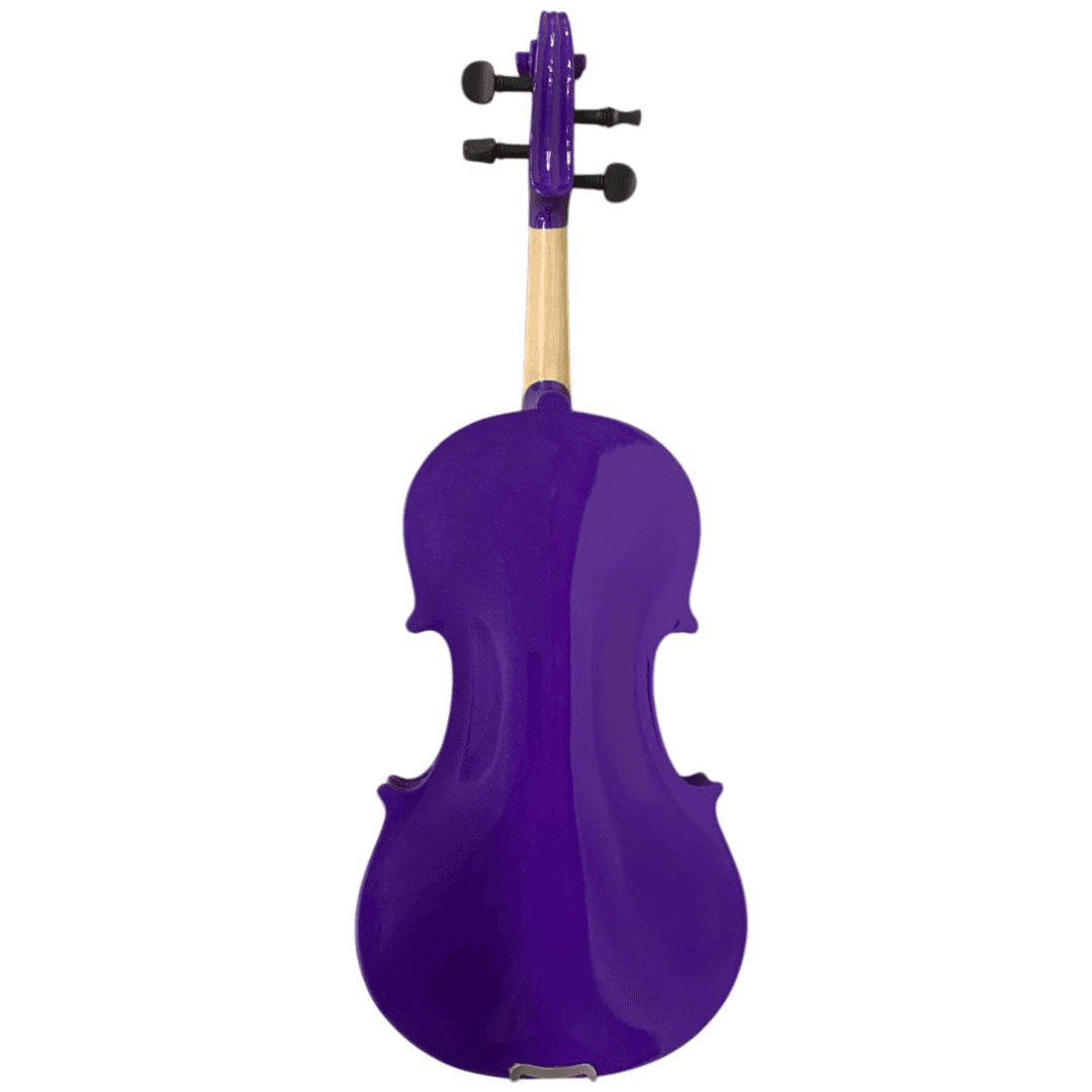 VIOLIN ISABELLA 4/4 P101C MORADO 2