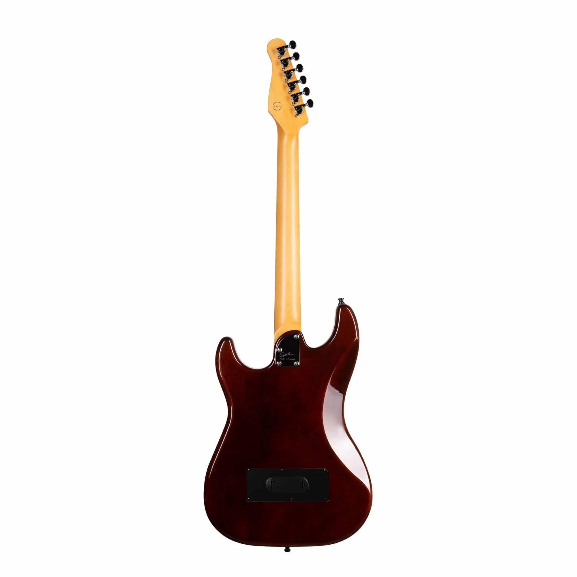 Guitarra Electroacustica GODIN G-Tour Arctik Blue 052233 Estuche 2