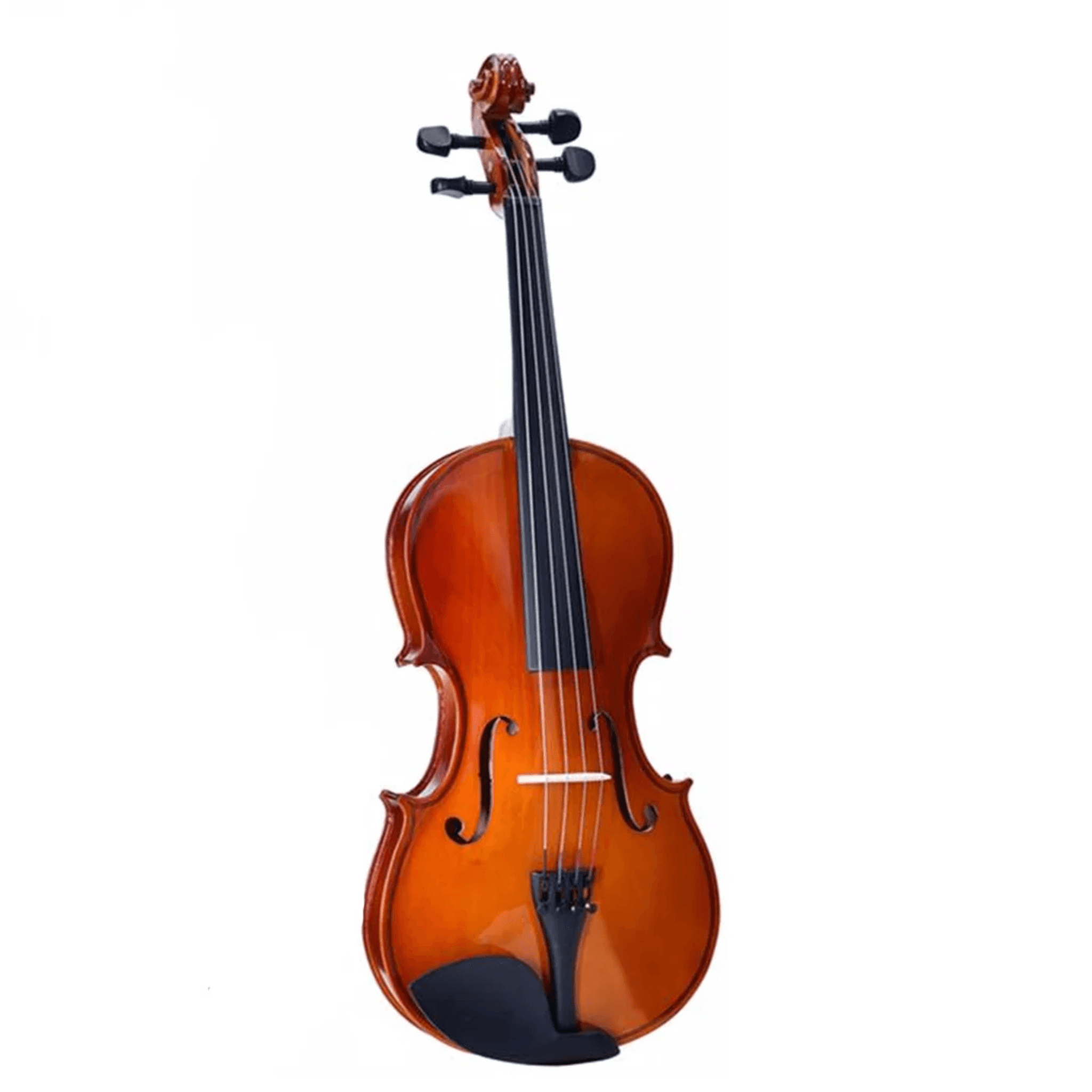 VIOLA TAYSTE 16" R10MA