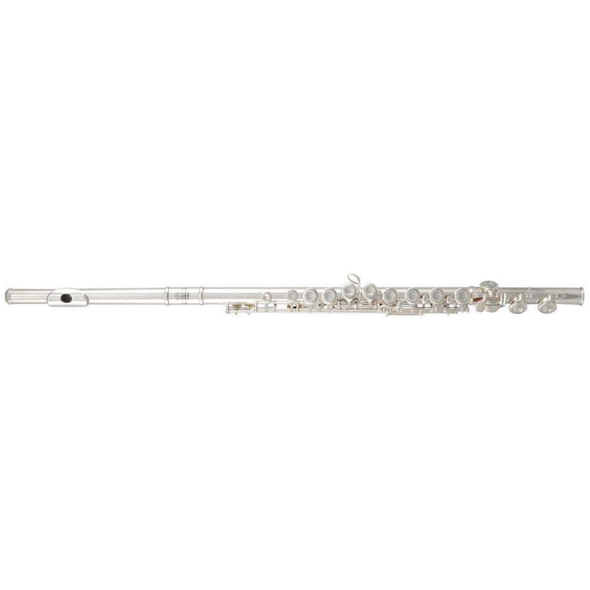 Flauta Roy Benson Fl-402r RB700407