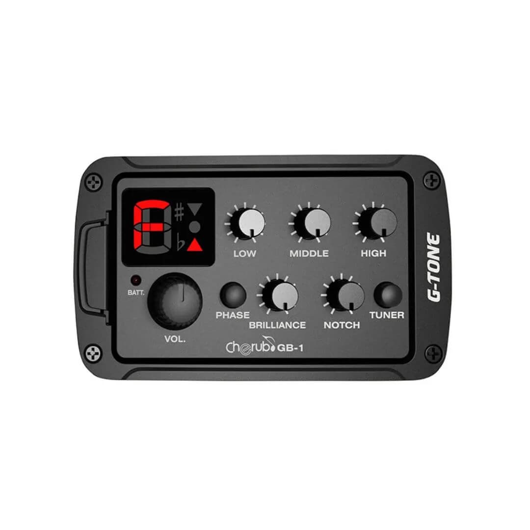 MICROFONO CHERUB GB-1