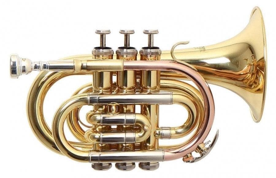 Trompeta Roy Benson Pocket Pt-302