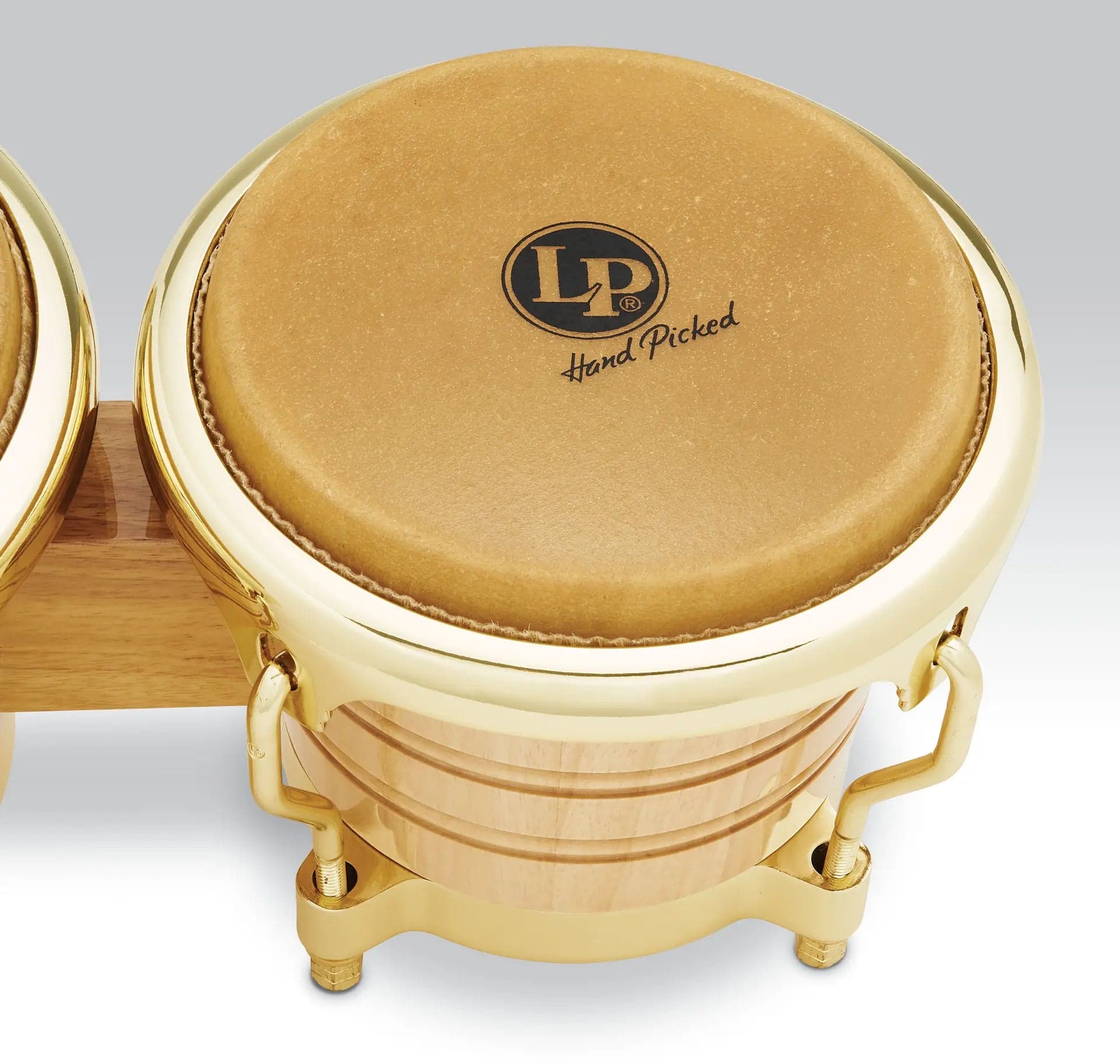 BONGO LP GENERACION 2 NATURAL ARO CONFORT DORADO LP201AX-2AW 3