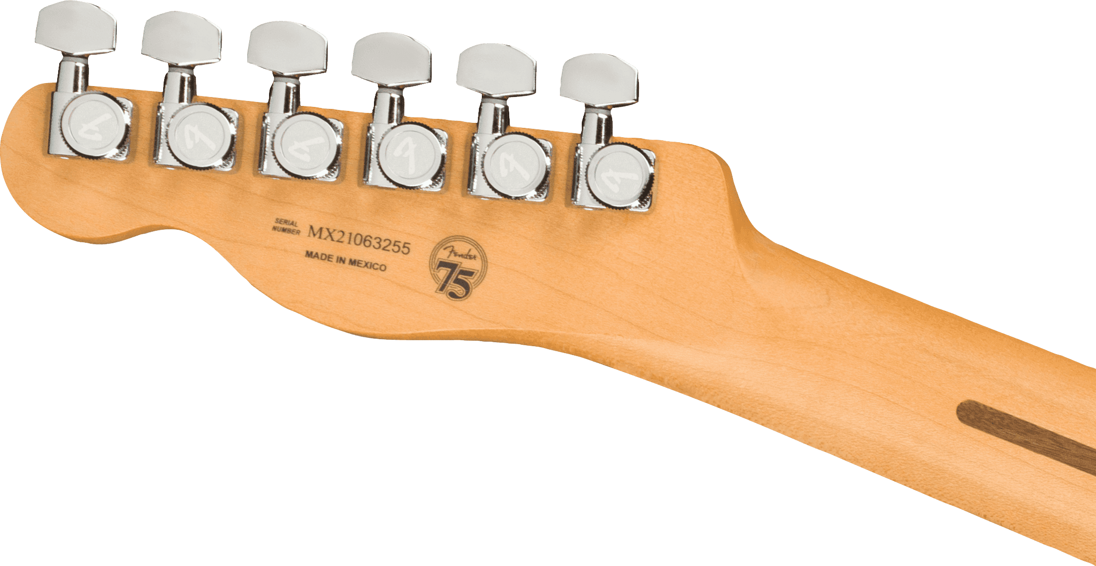 Guitarra Electrica Fender Player Plus Nashville Telecaster, Pau Ferro Fingerboard, Opal Spark Bl0147343395 5