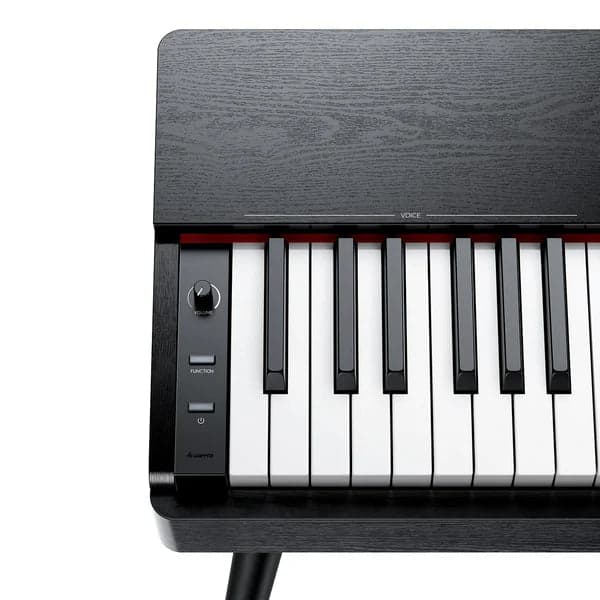 Piano Digital Donner Ec6971 S100 4