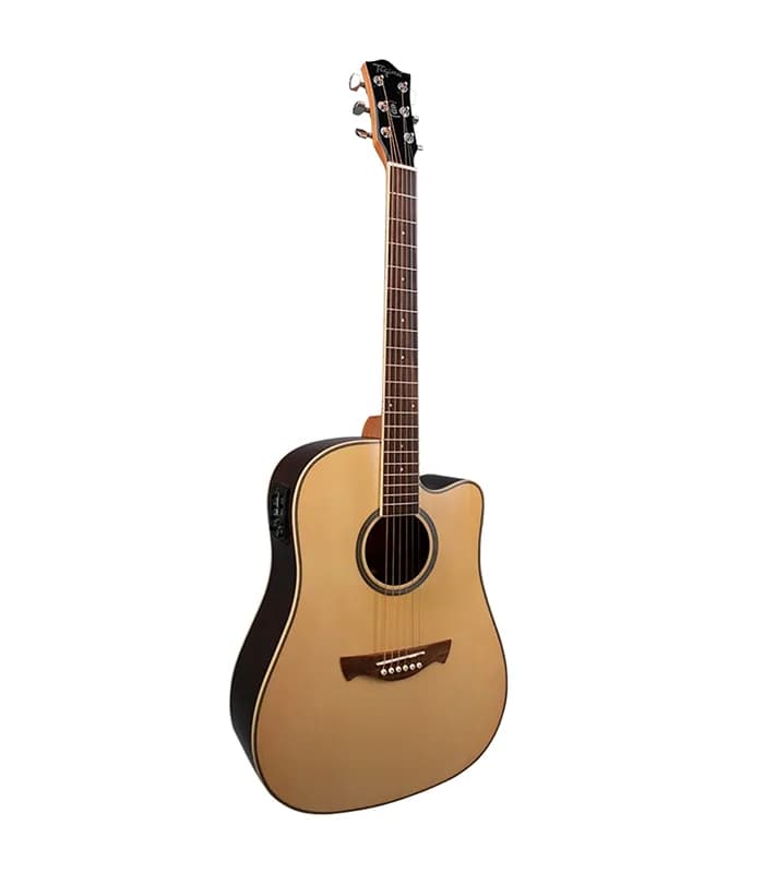 GUITARRA ELECTROACUSTICA TAGIMA WS-20 EQ NT 1