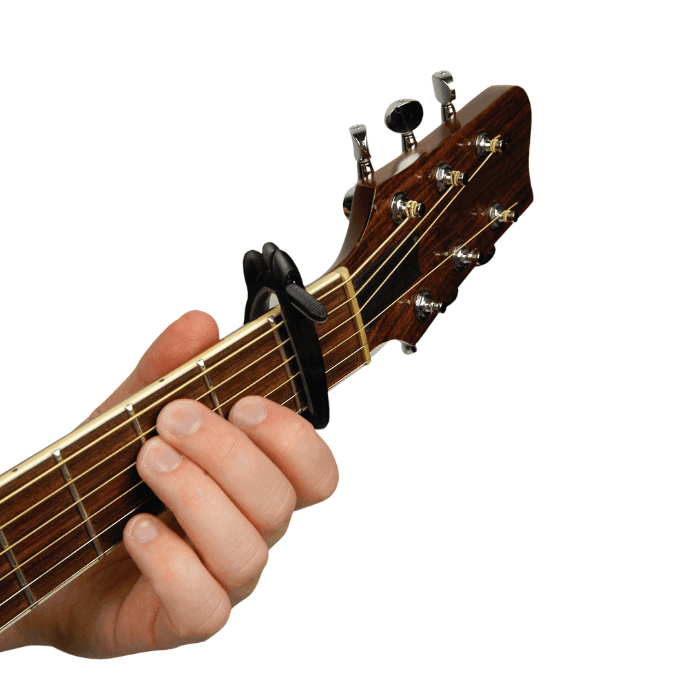 Transportador D Addario Pw-cp-01 3