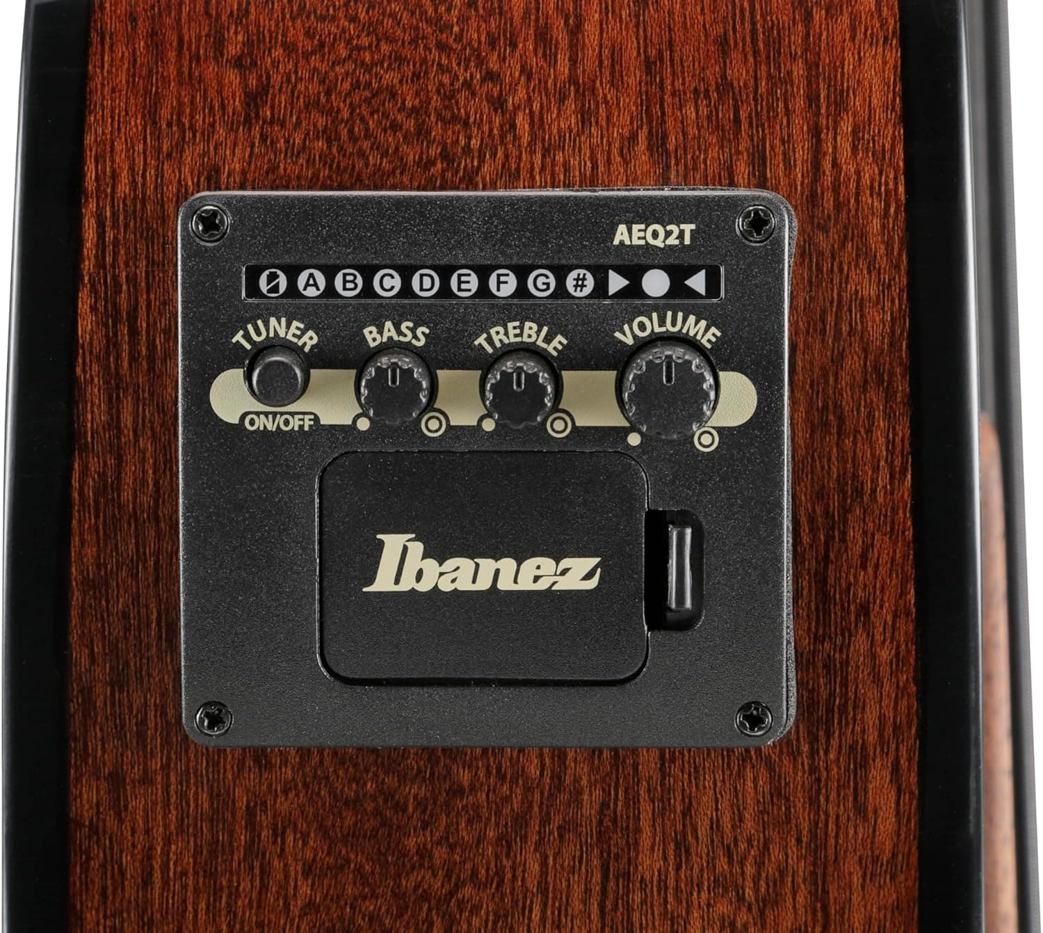 Bajo Electroacustico Ibanez Aegb25e-Tkh 4