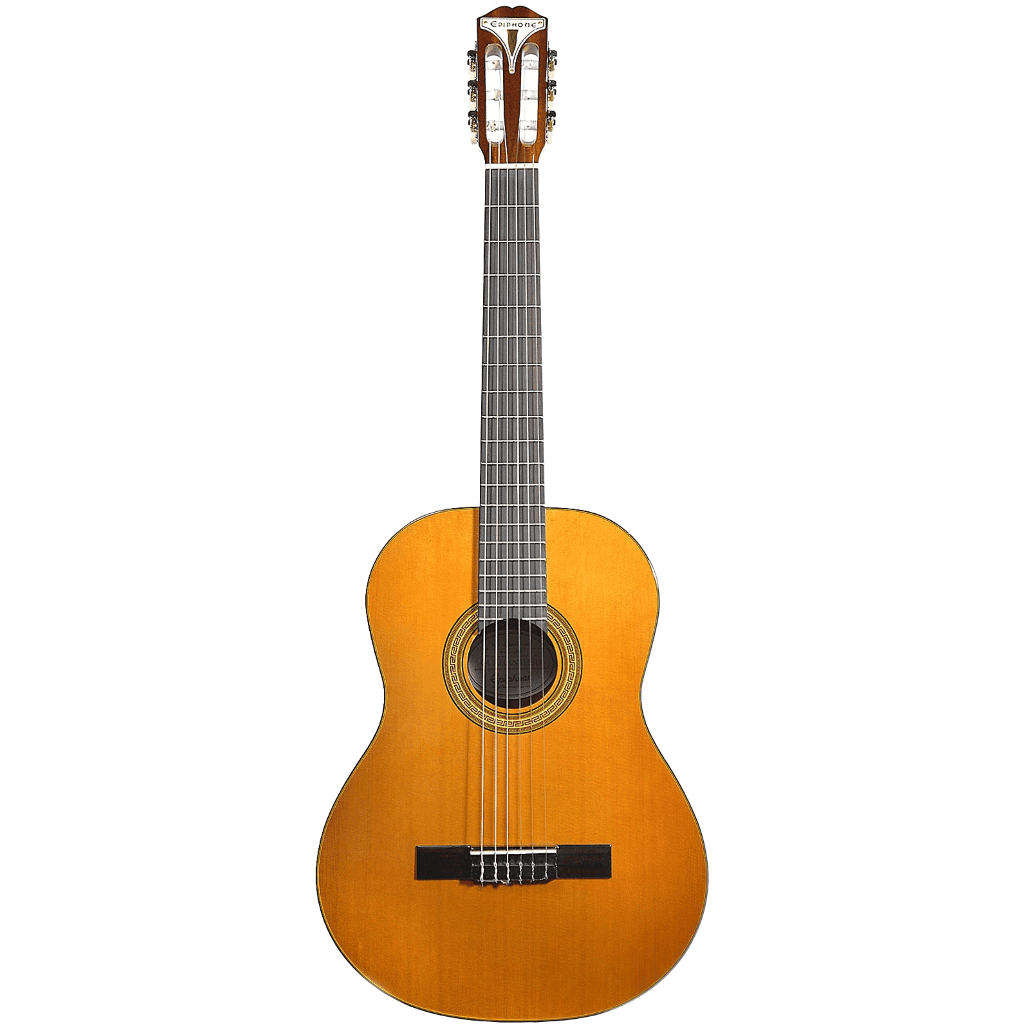 Guitarra Acustica Epiphone Eap2anch1 Pro-1