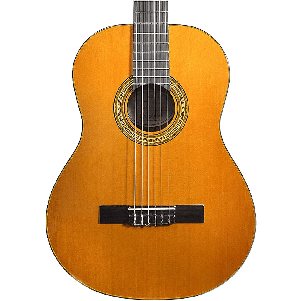 Guitarra Acustica Epiphone Eap2anch1 Pro-1 2