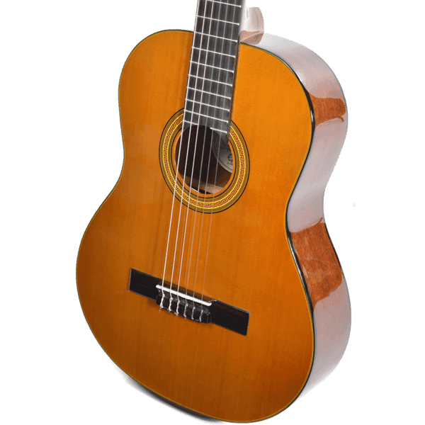 Guitarra Acustica Epiphone Eap2anch1 Pro-1 3