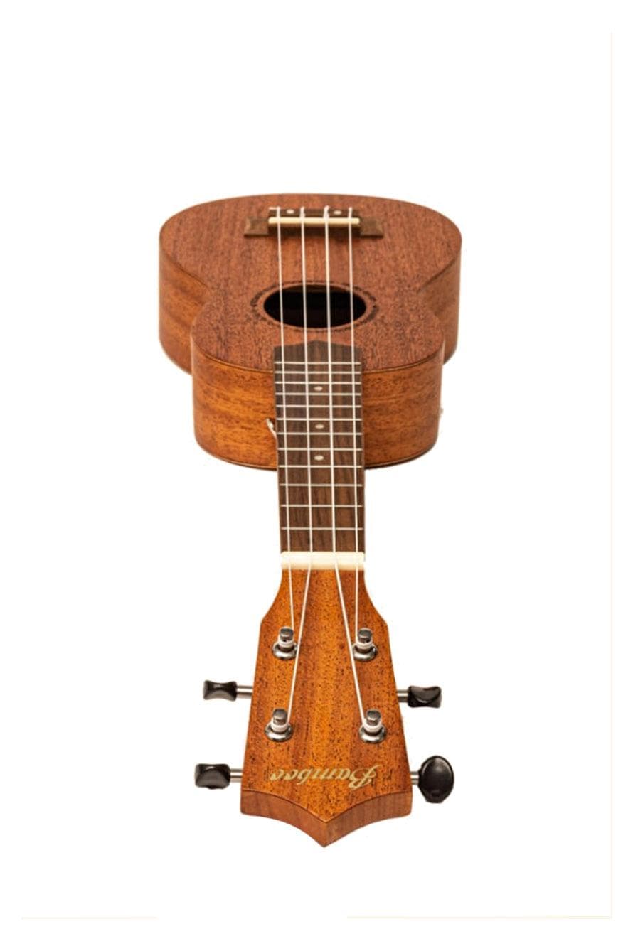 Ukulele Bamboo Soprano U-Mahogany 3