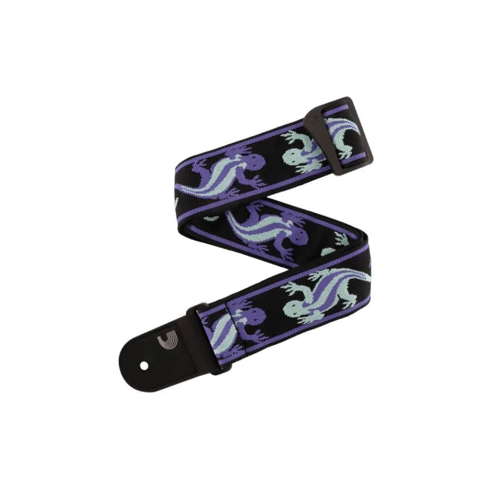 CORREA PLANET WAVES 50PW02