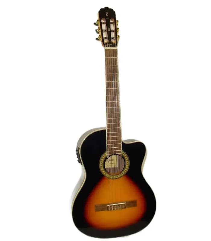 GUITARRA ELECTROACUSTICA TAGIMA WS-10 EQ DSBS / D 1